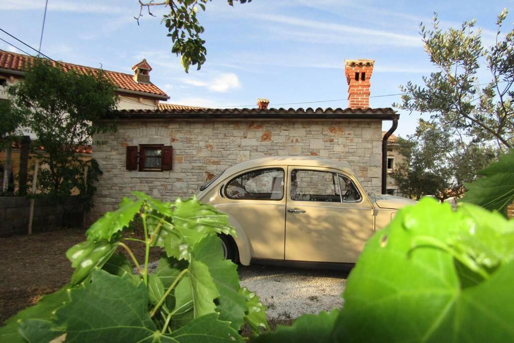 Sartori *